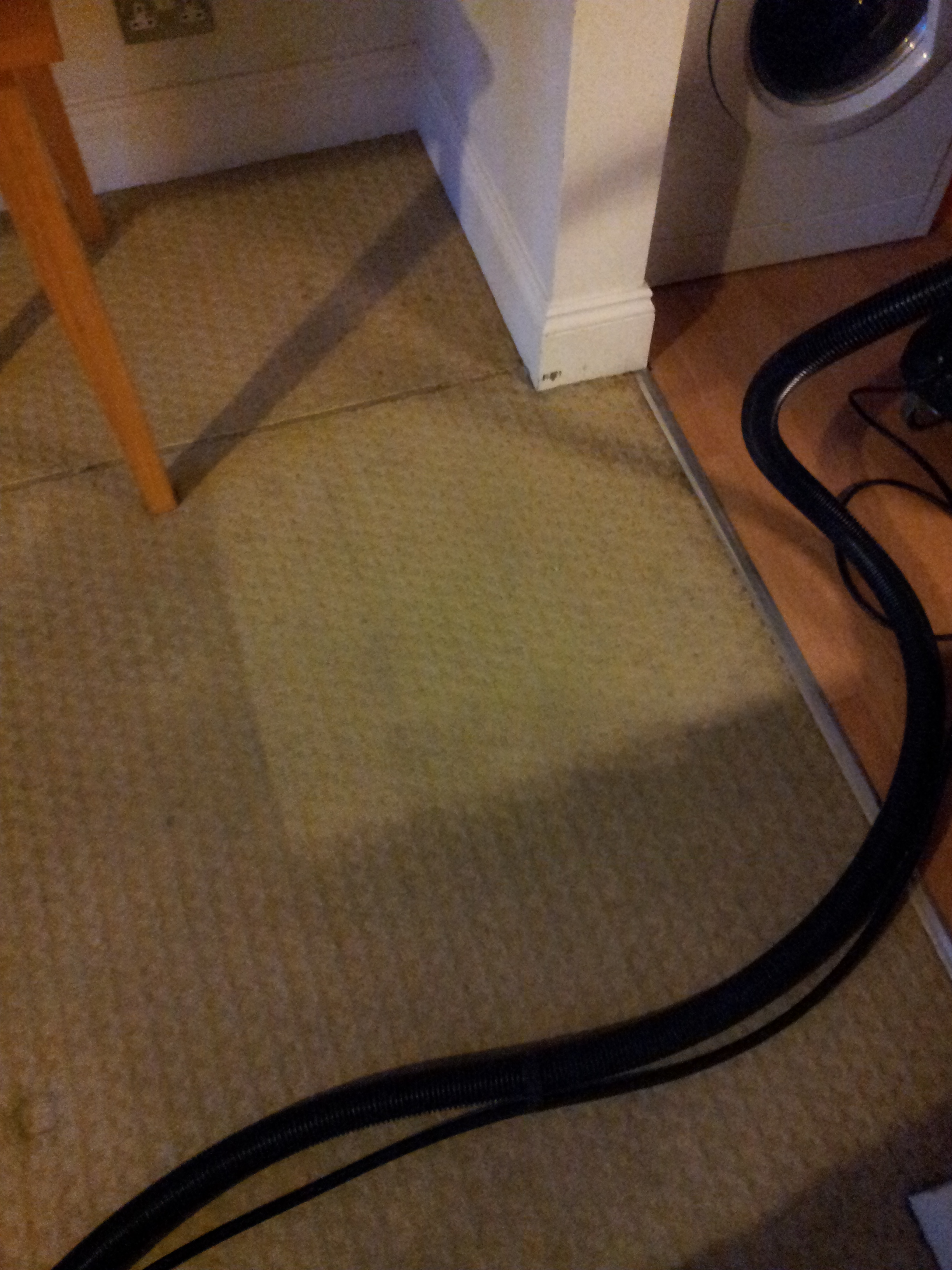 Sample area of carpet clean shown to customer