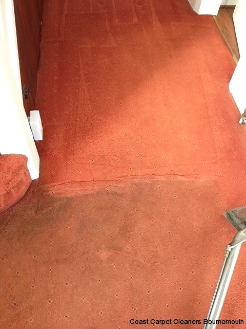 carpet-cleaning-hall