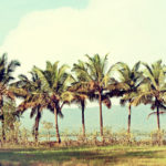 b-madrids-photographer-marathon-02