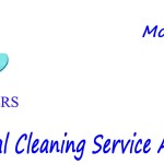 smaller website header