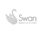 Swanmini2