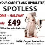 carpet-cleaning-offer bournemouth